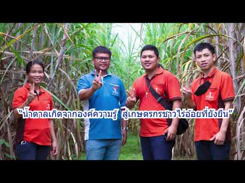 แนะนำแผนกพัฒนาผลผลิต ฝ่ายไร่ โรงงานน้ำตาลทรายขาวเริ่มอุดม | ปรับปรุงใหม่น้ำตาลทรายขาวเนื้อหาที่เกี่ยวข้อง