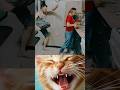 fanny video 😂😂👍#viralvideo @HarPalGeoOfficial #shorts #explore #comedy #cat