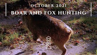 Boar and Fox Hunting - October 2021
