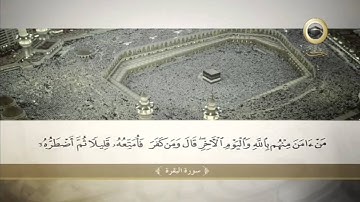 تعظيم البلد الحرام | تلاوة جميلة للشيخ زكي داغستاني رحمه الله