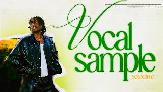 How to make RNB vocal samples even if you can't sing