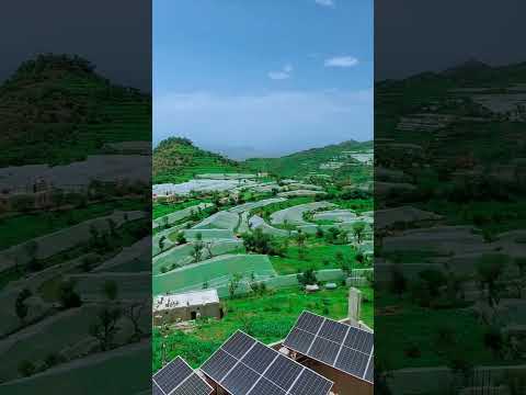 اشاهد محمية عتمه