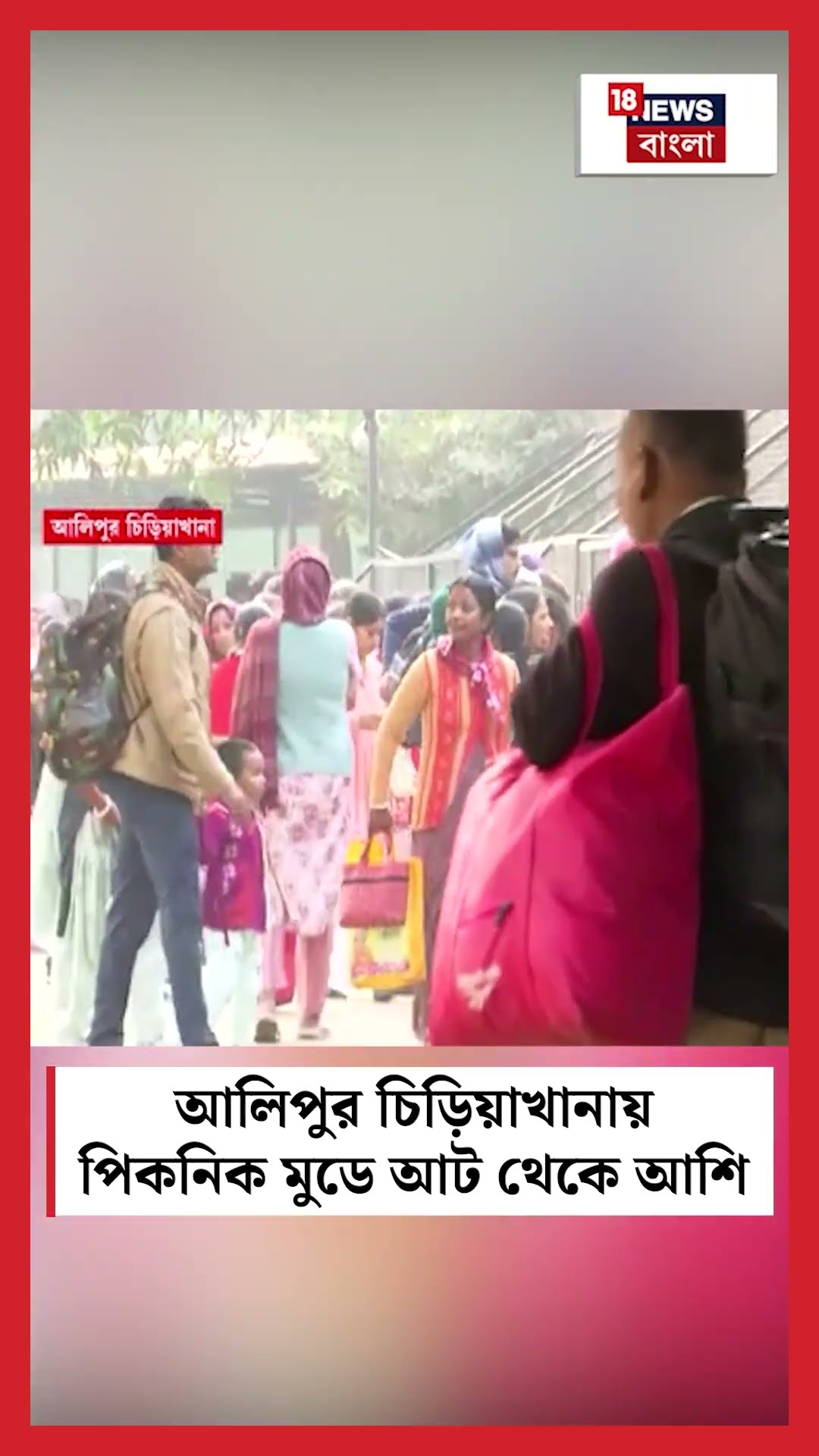 Alipore Zoo তে Picnic Mood এ আট থেকে আশি #shorts
