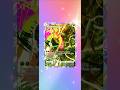 Reptain ART RARE #tcg #tcgpocket #pokemon