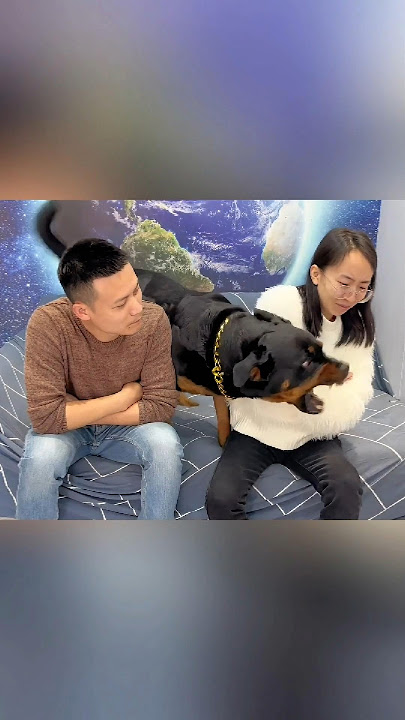Kenapa Anjing Ini Tiba-Tiba Ngamuk?