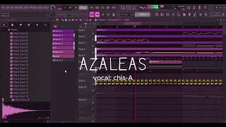 AZALEAS