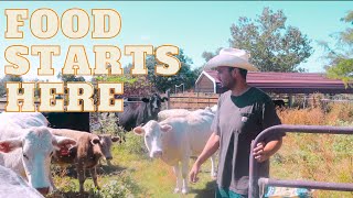 Beefing Up Your Carnivore Diet: The Magic Begins On The Farm