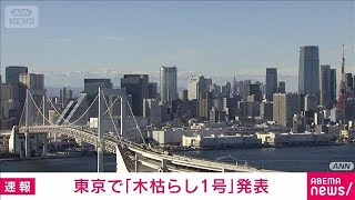 東京地方で木枯らし1号発表 去年より4日早い観測(2025年11月3日)