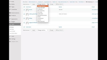 User Role Editor - delete custom role
