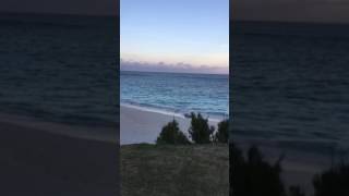 May 2017 Elbow Beach Bermuda