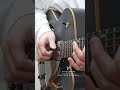 A mistake that only a guitarist would notice.