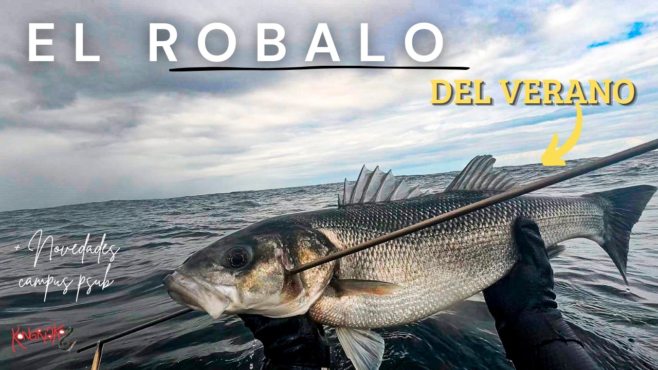 🌊 VOLVEMOS a GALICIA y CAPTURAMOS el ROBALO del VERANO 🤩🐟[Sorpresa CAMPUS PSUB]