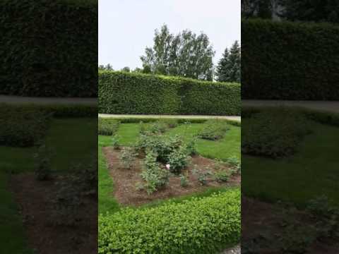 Рундальский замок. Дворец Бирона. Парковый комплекс. Стиль французский садик. КРАСОТА.