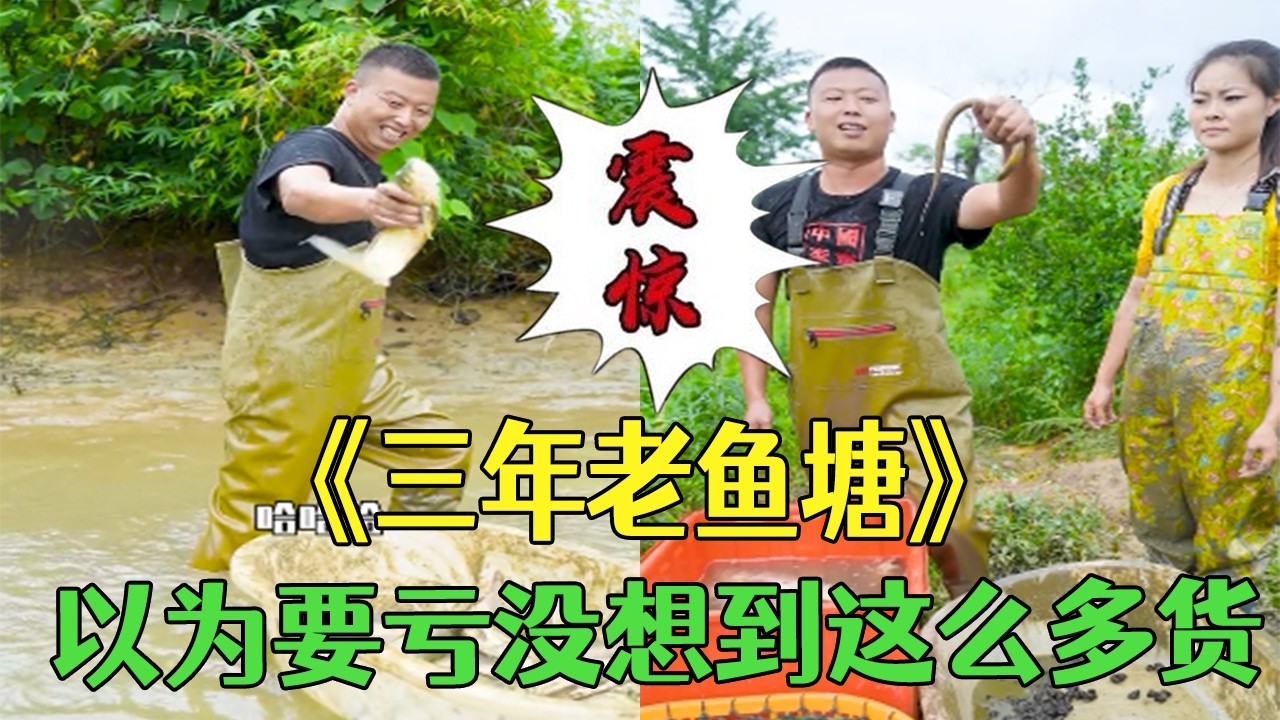 三年老魚塘1800拿下，以爲要虧沒想到裏面這麽多貨#小飛哥#新農人計劃 #三農 #戶外 #抓魚 #我要上熱門 #包塘