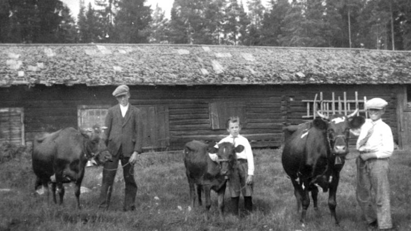 Svensk Folkmusik - Låt Till Far
