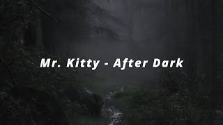 Mr. Kitty - After Dark (Lyrics)