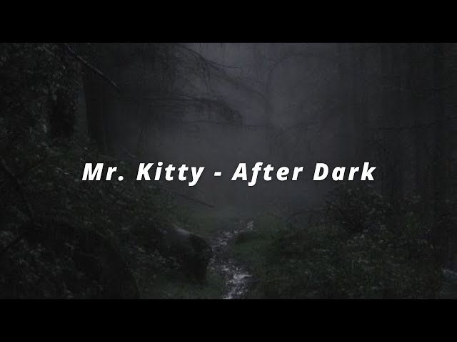 Mr.Kitty - After Dark (Lyrics) 