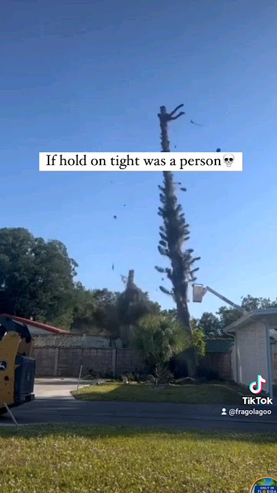 Hol'On Tight🤭#construction  #work  #workout #sama28  #home #explore  #tights #gonewrong #viral #fyp