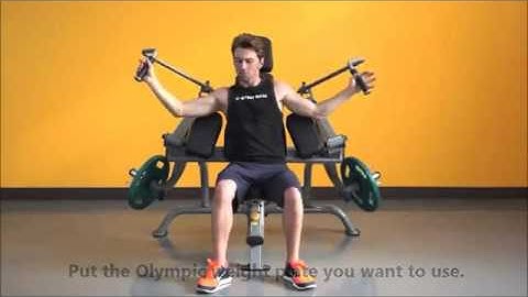 Steelflex Plate Load Triceps Extension Machine - www.fitnessdelivery.nl