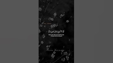 تلاوه نادره للشيخ محمد صديق المنشاوي#قرآن #راحة_نفسية #اكسبلور #مؤثر #جميل #المنشاوي #المصحف