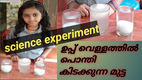 കുട്ടികൾക്ക് വീട്ടിൽ ചെയ്യാവുന്ന 2 ശാസ്ത്ര പരീക്ഷണങ്ങൾ //science experiment for kids //