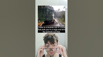There is a Reverse Zoo in China That Puts You In A Cage and Lets The Animals Run Free.