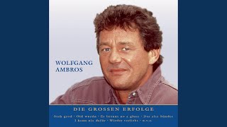 Video thumbnail of "Wolfgang Ambros & Georg Danzer - Steh grod"