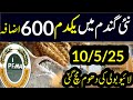 Wheat Support گندم کی امدادی قیمت فائنل اعلان صوبائی اسمبلیprince In Pakistanin2024 1509munjimakki Wheat Support گندم کی امدادی قیمت فائنل اعلان صوبائی اسمبلیprince In Pakistanin2024 1509munjimakki