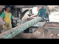 Building with Coconut Trees – Why This Timber Beats Steel!