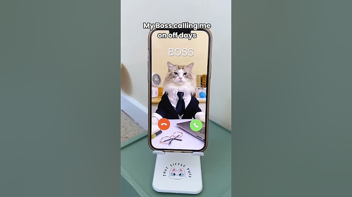 Puff's guide on handling weekend calls from the boss! #BossBoundary #WeekendWarrior #thatlittlepuff