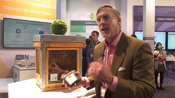 Connected Honeybees on Mobile IoT for the Sustainable World - NimbeLink