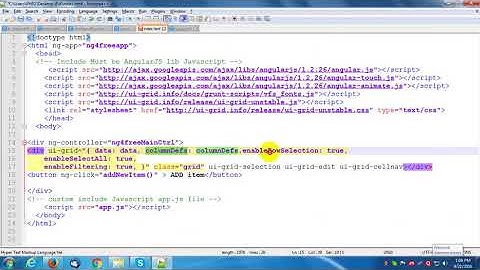 Angular UI Grid angularjs ui grid tutorial