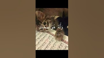 آيات من #سورة_النجم بصوت القارئ#اسلام_صبحي #قرآن #القرآن_الكريم