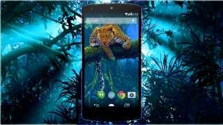 Leopard Live Wallpaper Leopard Live Wallpaper