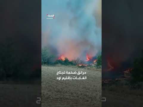 حرائق غابات جنوب فرنسا تتصاعد