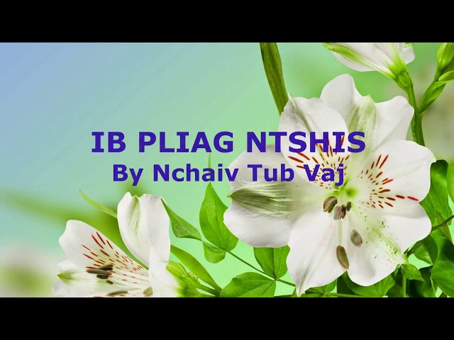 nkauj-ntseeg-nkauj-tawm-tshiab-ib-pliag-ntshis-nkauj-xyoo-tshiab