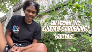 Welcome to Ghetto Gardening with yaya!!👩🏽‍🌾 | Introduction & Garden Tour!!