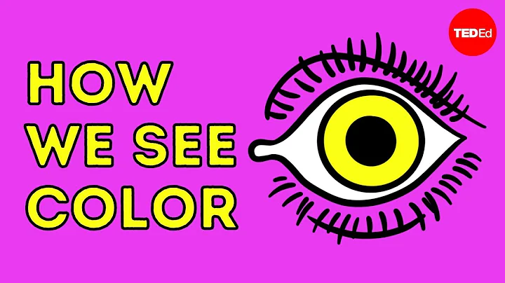 How we see color - Colm Kelleher - DayDayNews