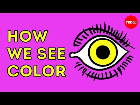 וִידֵאוֹ: איך צבע משפיע על אדם