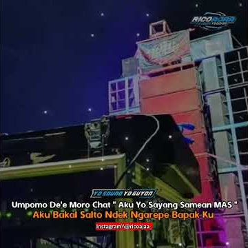TIK tok 30 detik
