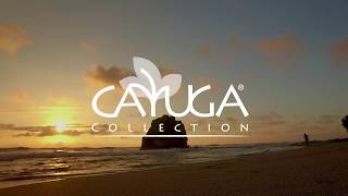 Welcome To The Cayuga Collection