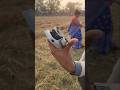 DJI mini 2 #reels #shortvideo #shorts #djimini2 #drone #dji #camera #new #video #viralsong #ytshorts