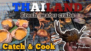 THAILAND. Catch and cook Thai land crabs