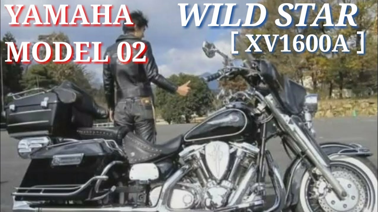 ハイウェイホーク　テールランプカバー　xv1600 ロードスター、ドラッグスター ハイウェイホーク テールランプカバー xv1600 ロードスター