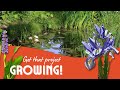 Get that Pond Growing with “Slow” and “Fast” Native Wetland Species