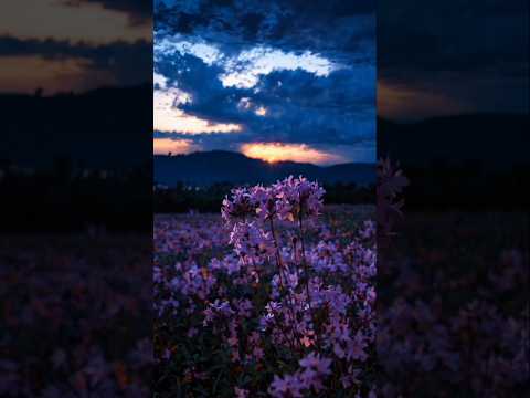 places that not feel real #nature #trending #shorts