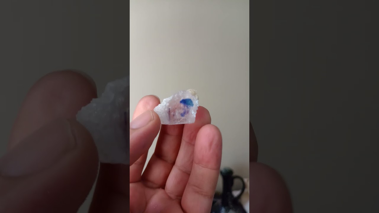 Blue jellyfish inside stone! (Blue Halite)