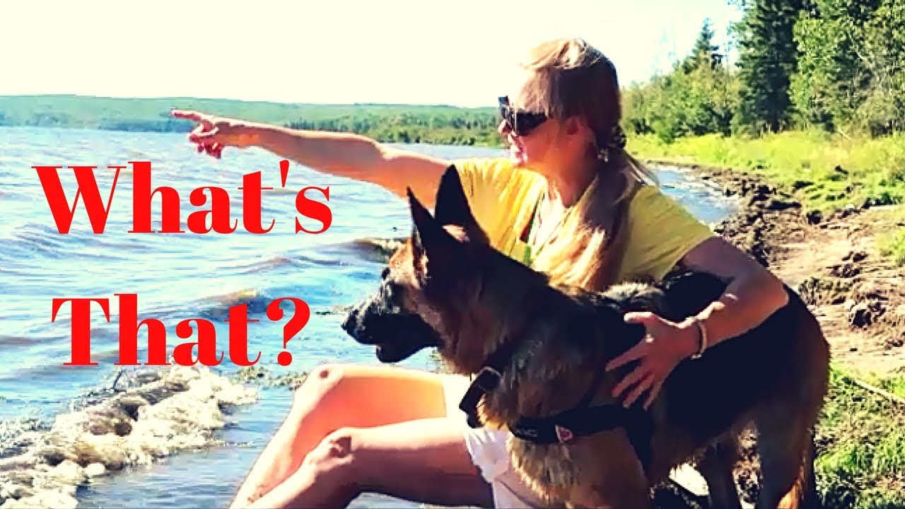 Was That a CREATURE In the Water - YouTube