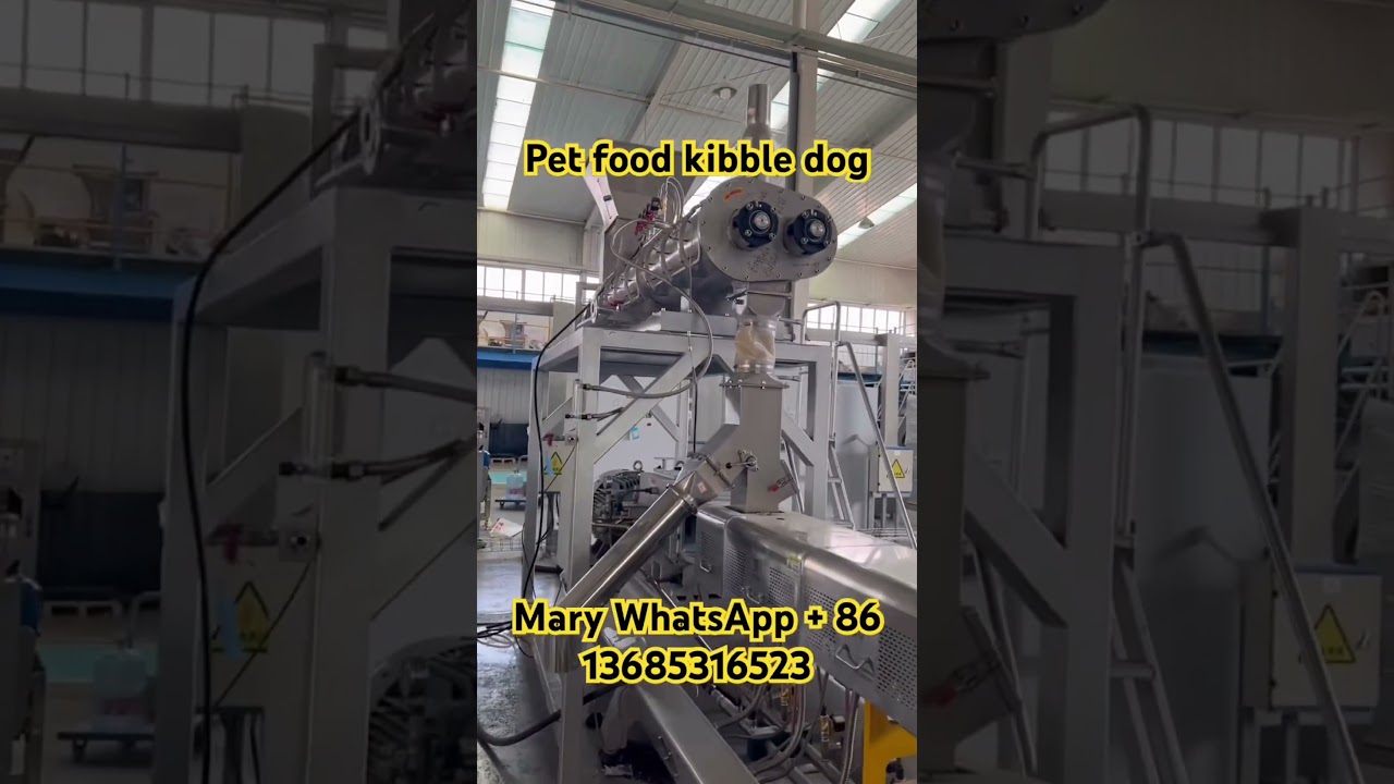 How to make pet food Kibble dog food extrusion machinery with Pre conditioner #extruder #factory