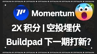 Is Momentum The Next Ipo Project On Buildpad? Earn 2X Momentum Bricks For A Limited Time